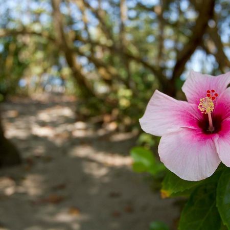 Gitana Del Mar Beach Retreat 伯里塔卡 外观 照片